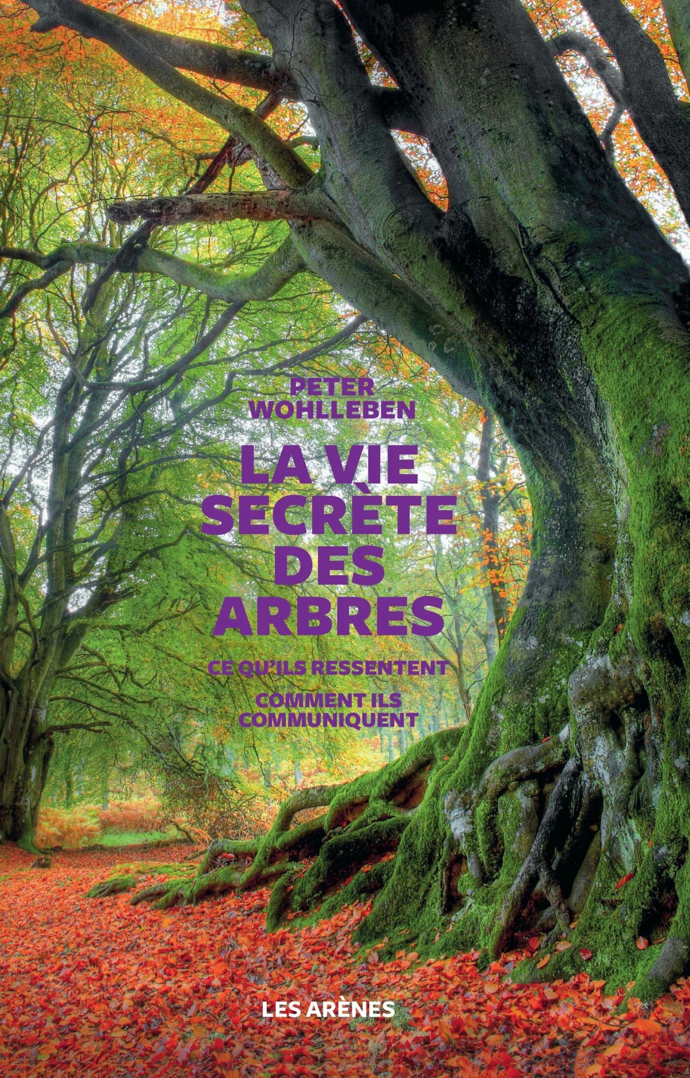 Livre sur les arbres : Sélection des meilleurs